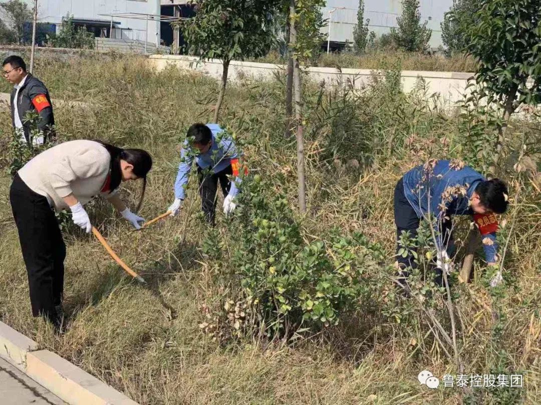 鲁泰供应链物流开展党员志愿者活动